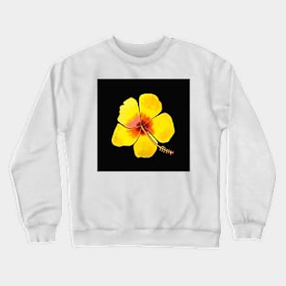Yellow Hibiscus Flower with a black background Crewneck Sweatshirt